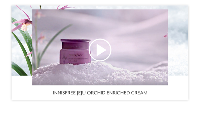 innisfree jeju orchid enriched cream 50ml