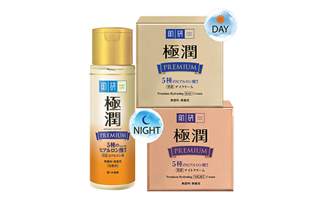 premium night cream hada labo