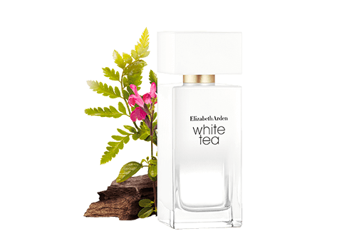 Elizabeth Arden White Tea is inspired by the simple pleasure that accompanies the first sip of tea. Exquisitely uncomplicated, this new fragrance invites you to revel in the moment.